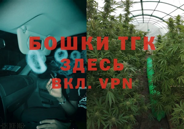 PSILOCYBIN Остров